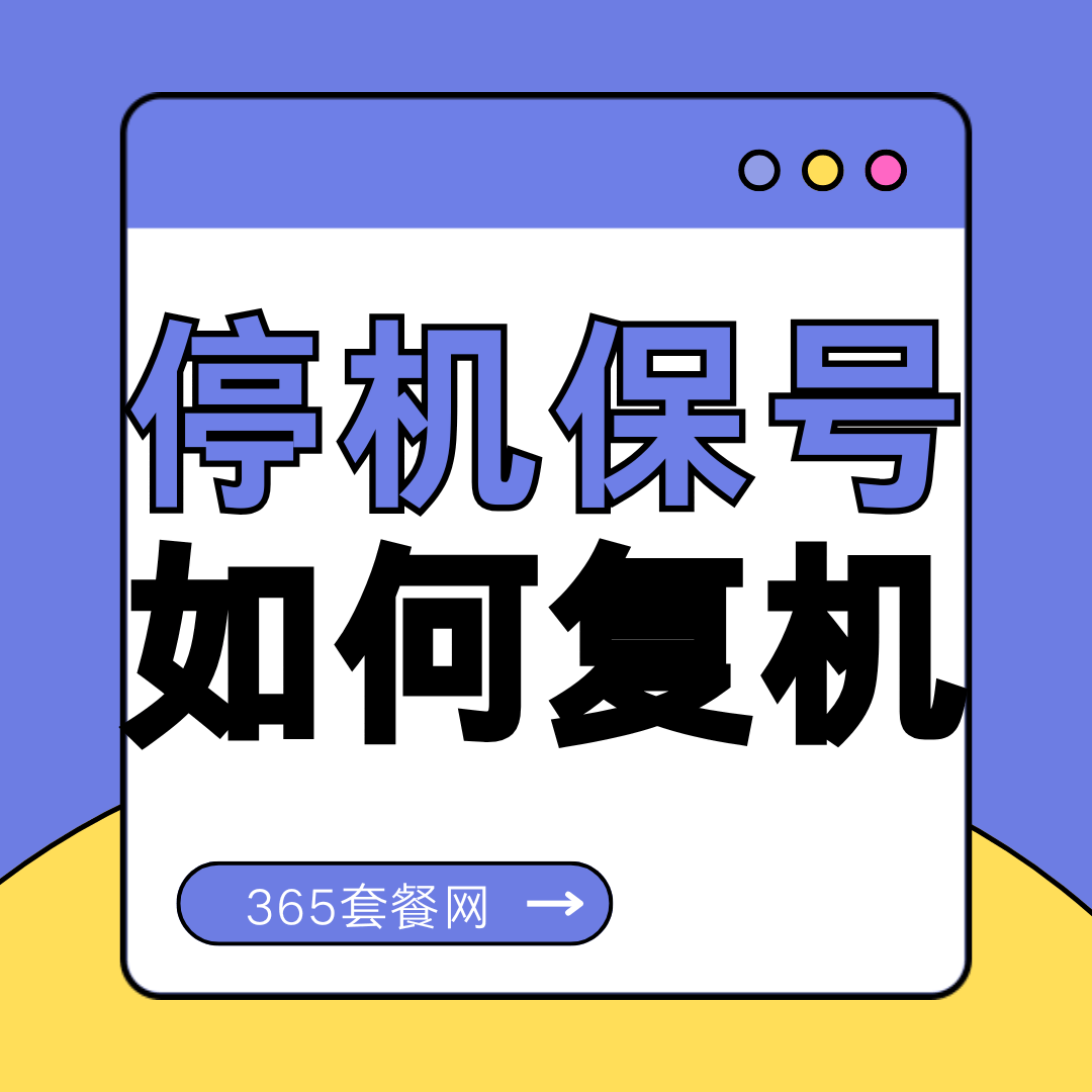 手机号码办理&ldquo;停机保号&rdquo;业务后的复机流程与费用说明？