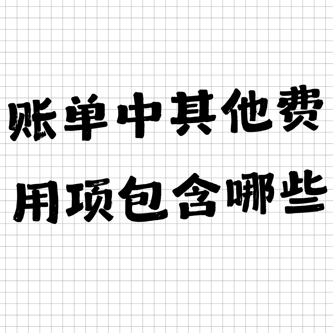 手机卡套餐账单中 &ldquo;其他费用&rdquo; 项包含哪些内容？如何查询明细？
