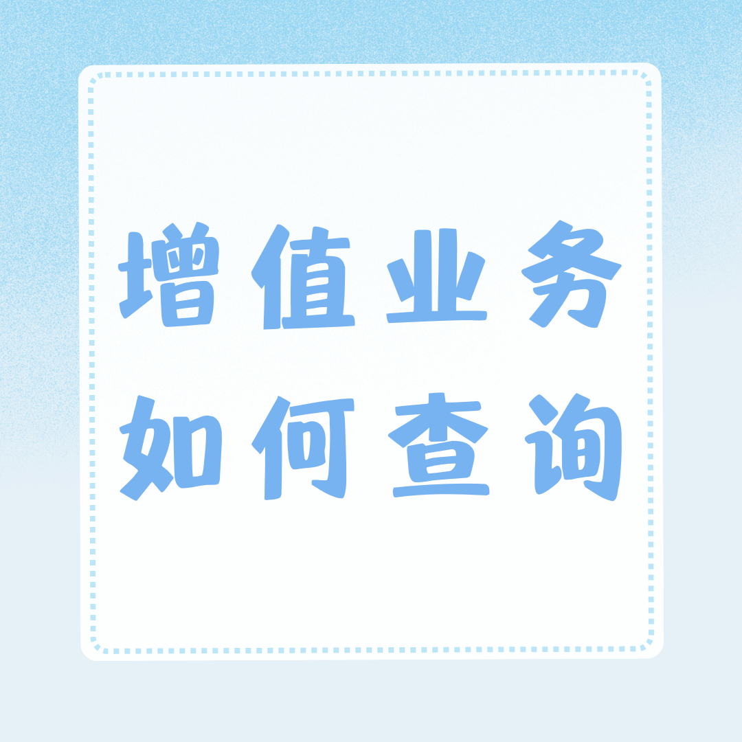 如何查询我目前开通了哪些手机套餐增值业务？