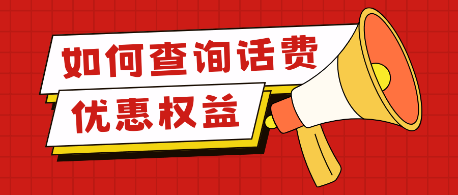 365套餐网