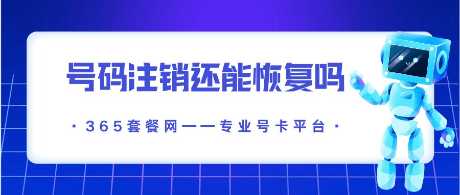 365套餐网
