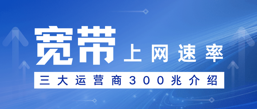 365套餐网